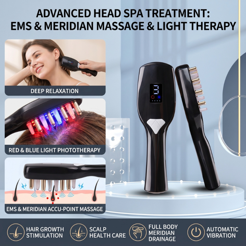 House Hair Care - House Use Electric Hair Growth Scalp