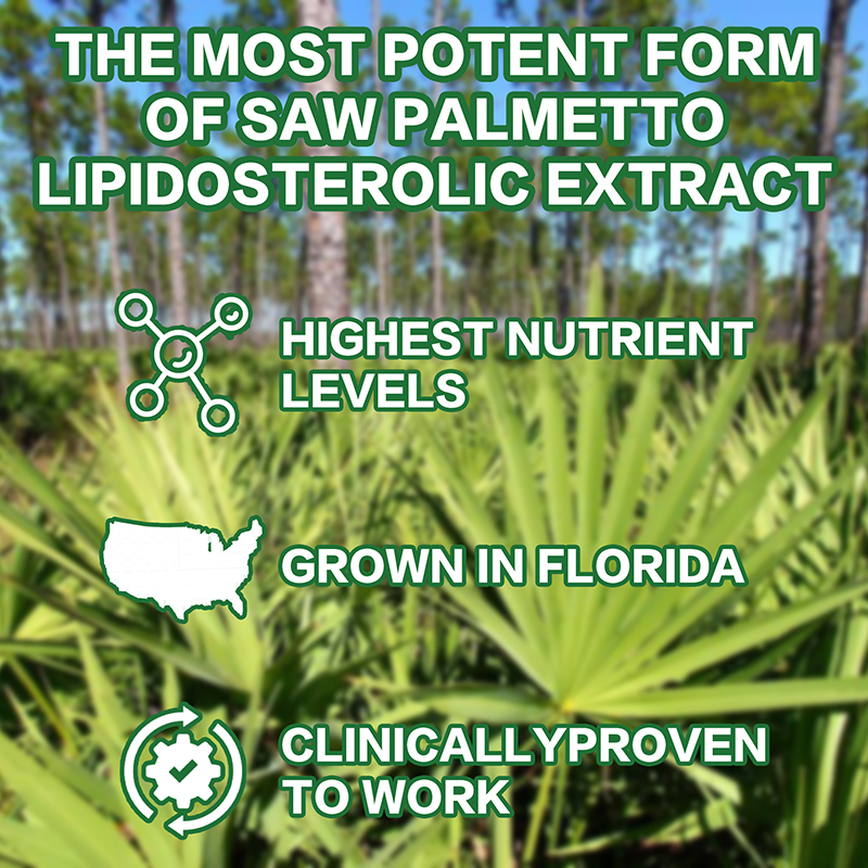 Saw Palmetto Capsules - with P - Hair Care Capsule review and price