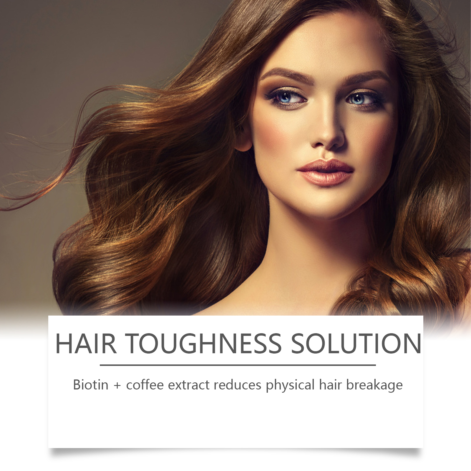 Rosemary Shampoo Repair Dry Fr - Hair Care For Dry And Frizzy Hair review and price